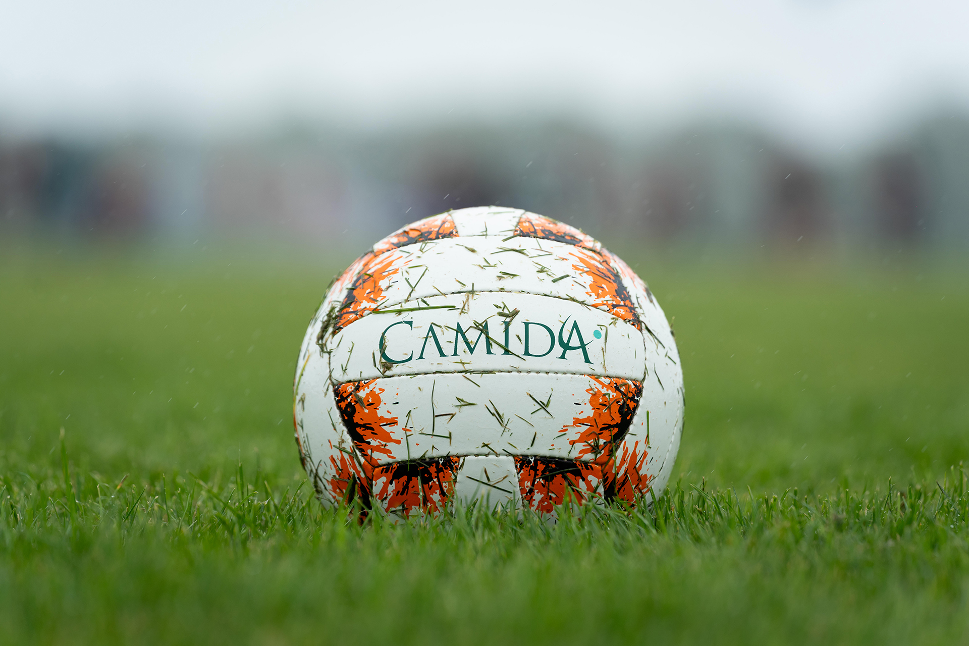 Camida Flowers